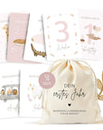 Milestone Cards "Your First Year", pink