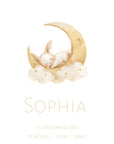Birth Poster / Nursery Poster: Sleeping Animals / Narrow Font