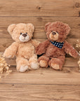 Plüschtier "kleiner Teddy"