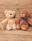 Plüschtier "kleiner Teddy"