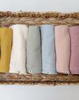 Cotton Nuschis